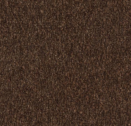 Coral Marine FR 4223FR