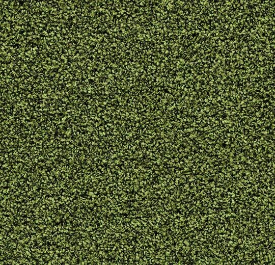 Coral Bright 2608