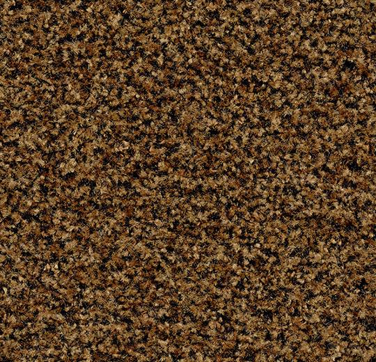 Coral Brush 5716