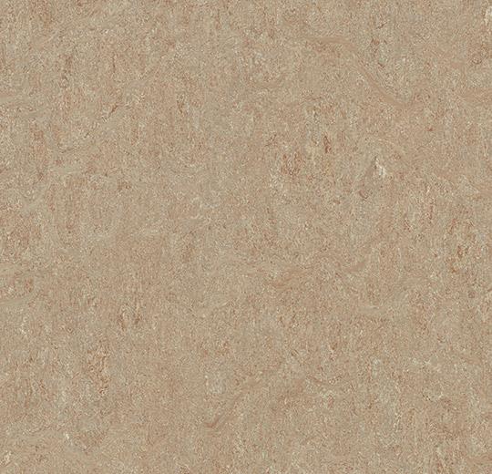 Terra 5804