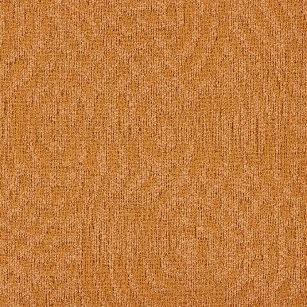 Immersion Animate 232