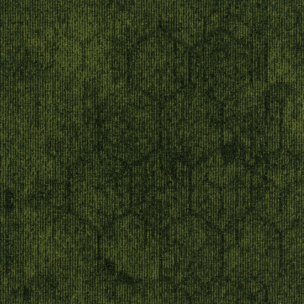 Contour Perspective 621