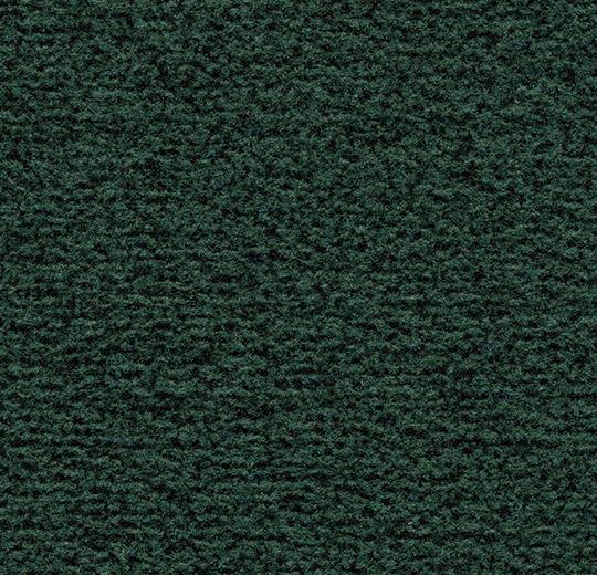 Coral Classic 4768