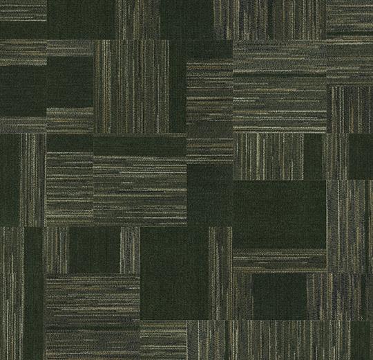 Coral Interior 1518