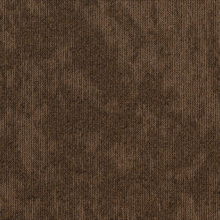 DESERT NEW 2021