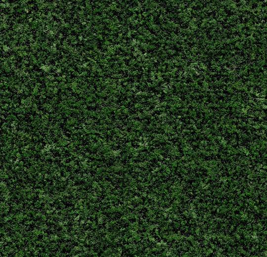 Coral Brush 5708