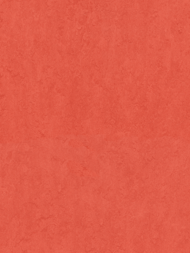 Sport 83287 (4.00)