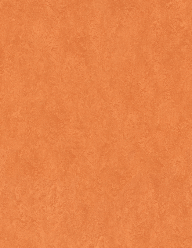 Sport 83286 (4.00)