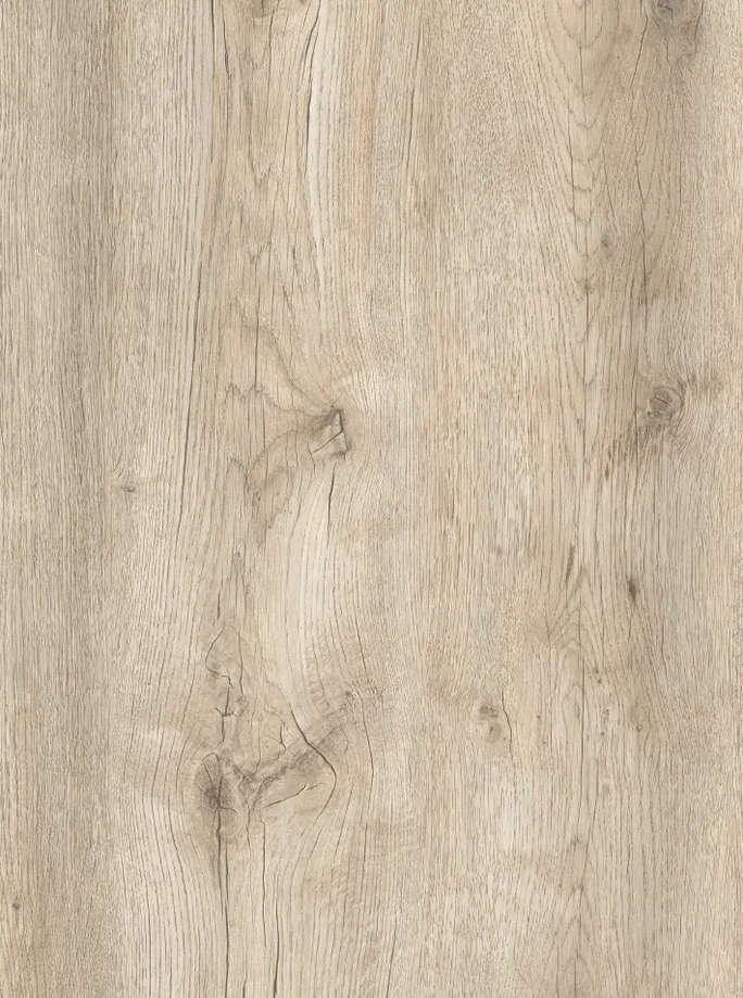 Baltimore Oak 830