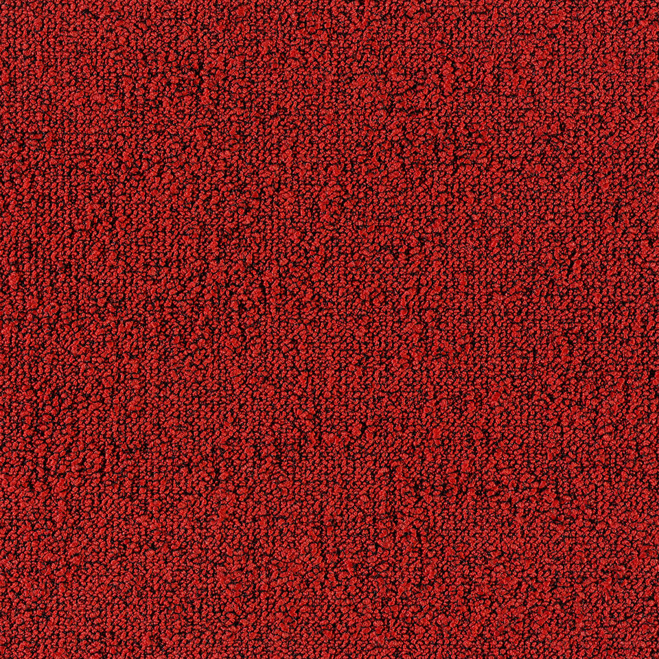 FIELDS 4202