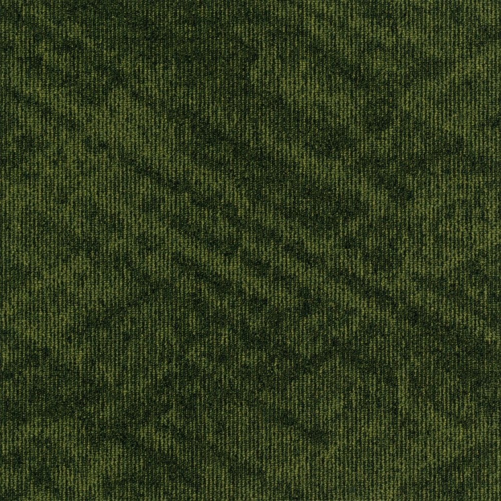 Contour View 621