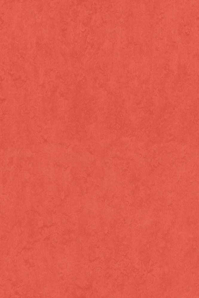 Sport 83287 (3,20)