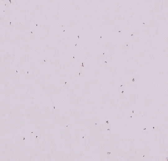 Sphera Energetic 50234 lilac