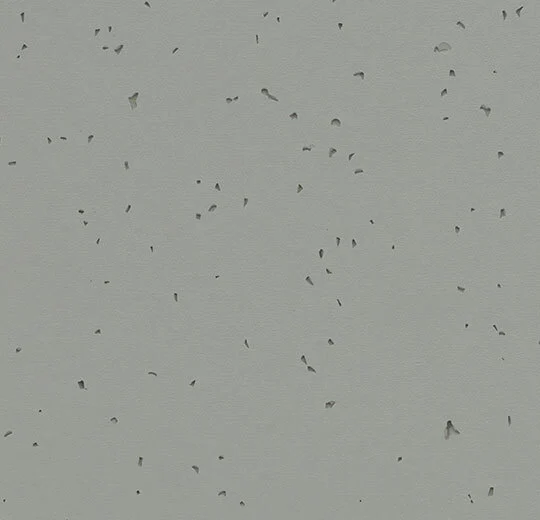 Sphera Energetic 50216 pigeon