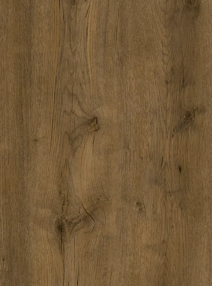 Baltimore Oak 847