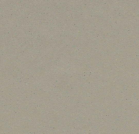 Surestep Balance 173232 fossil