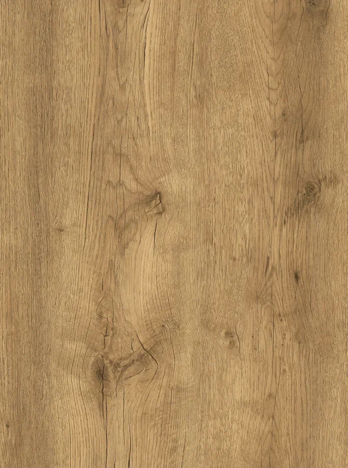 Baltimore Oak 863