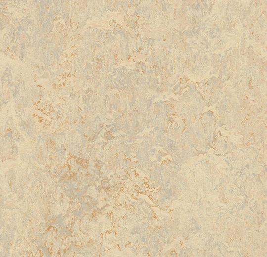 Modular 50х50 t3120