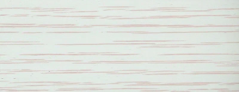 WL50 2244