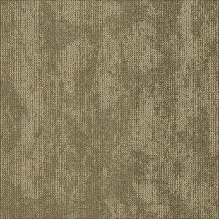 DESERT NEW 6431