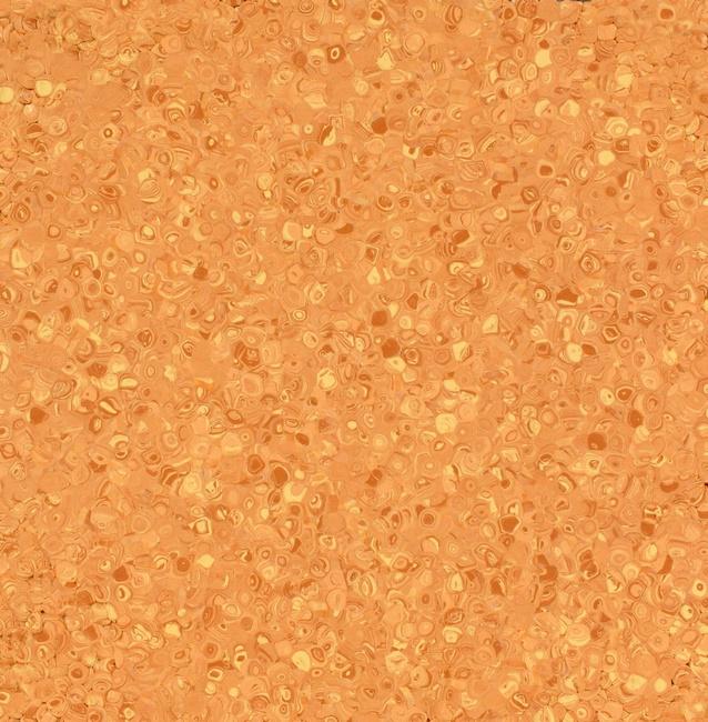 Fortis Orange