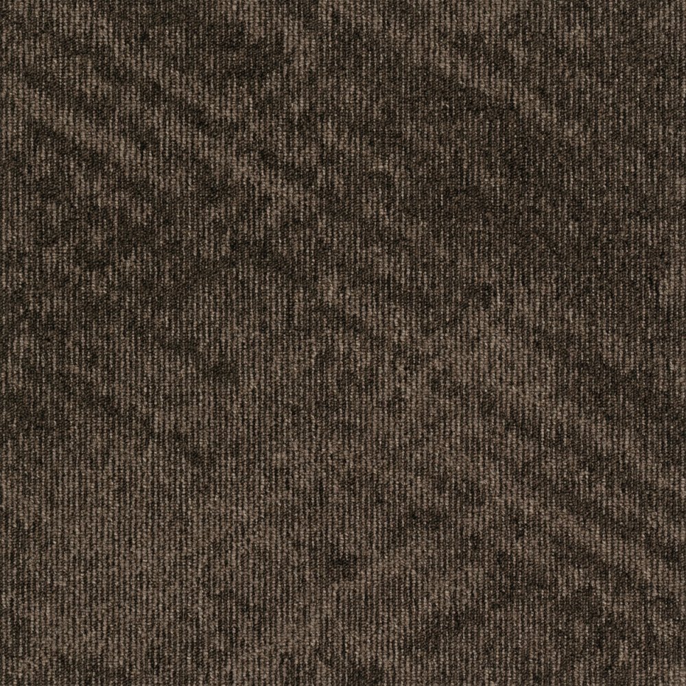 Contour View 848