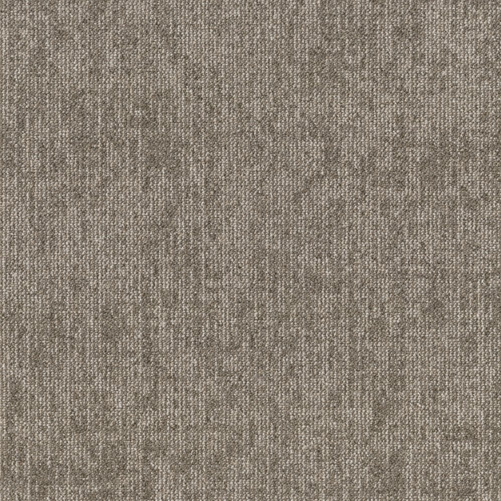 Rudiments Jute 789