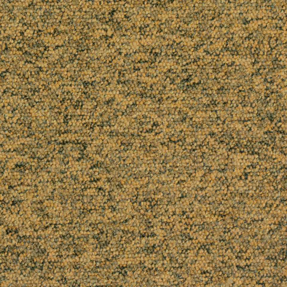 TEMPRA 6018