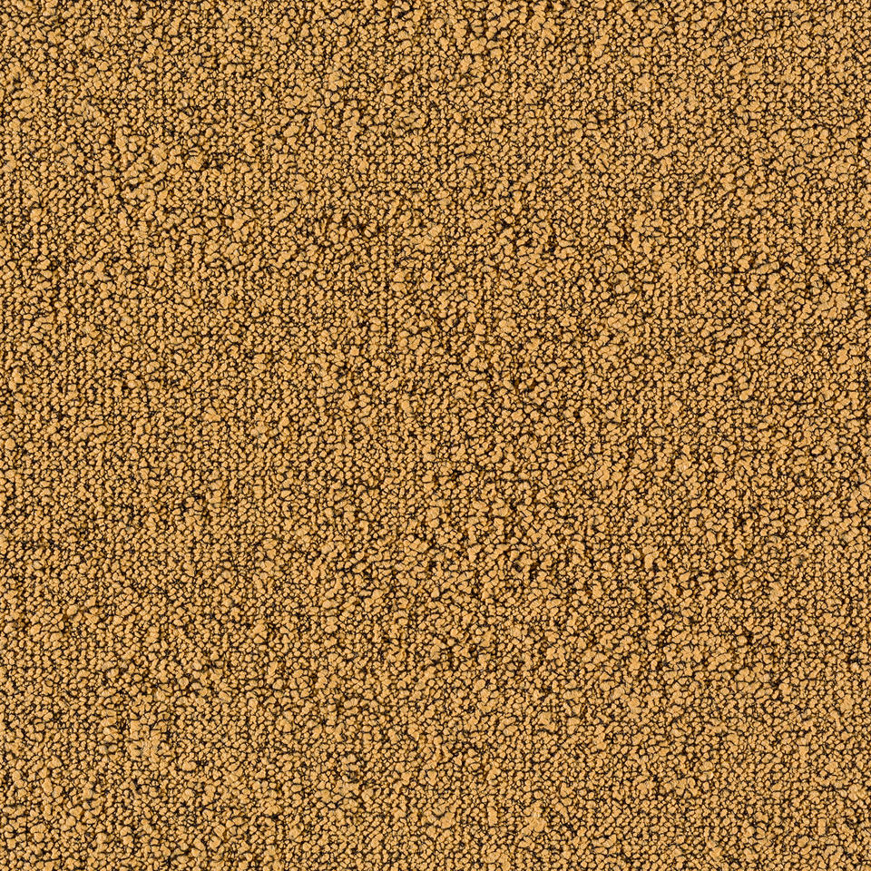 FIELDS 6011