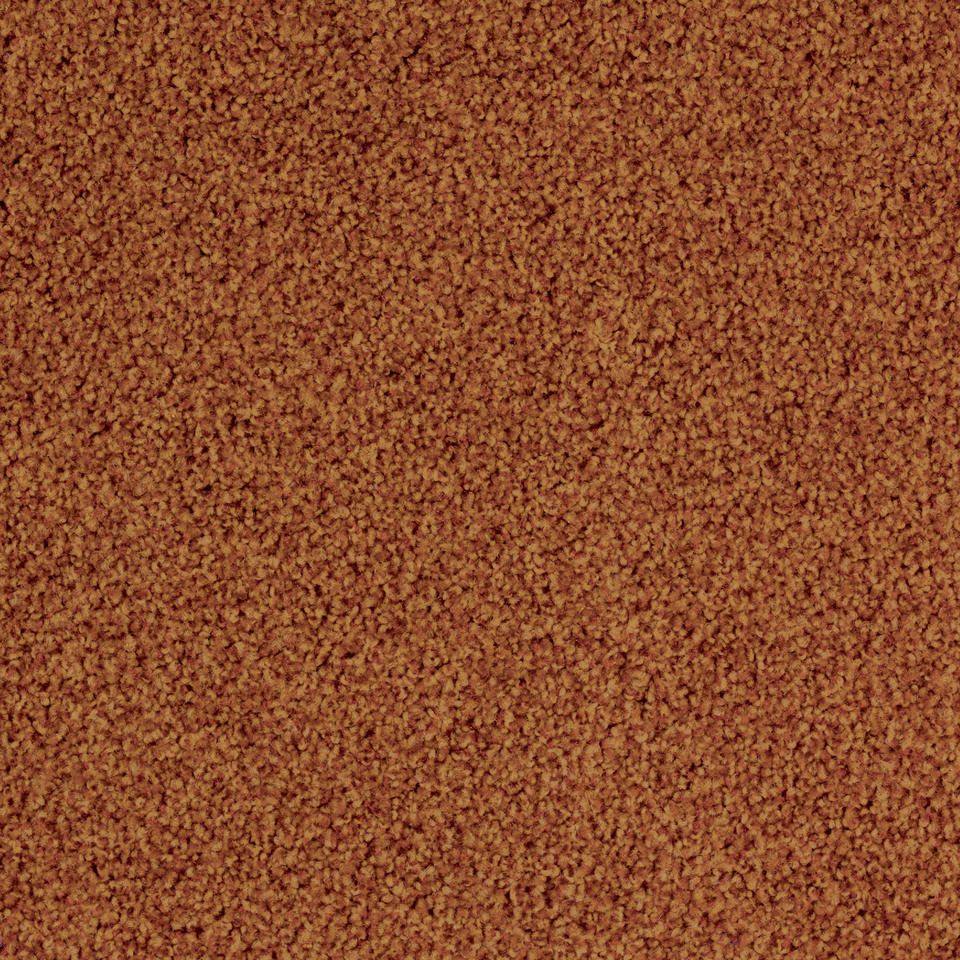 TORSO 5103