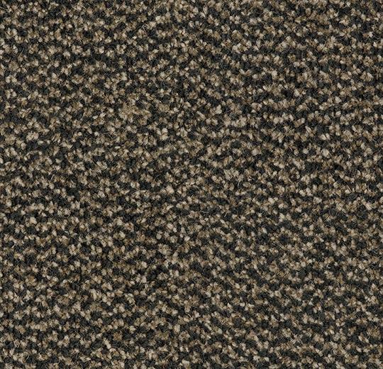 Coral Marine FR 4204FR