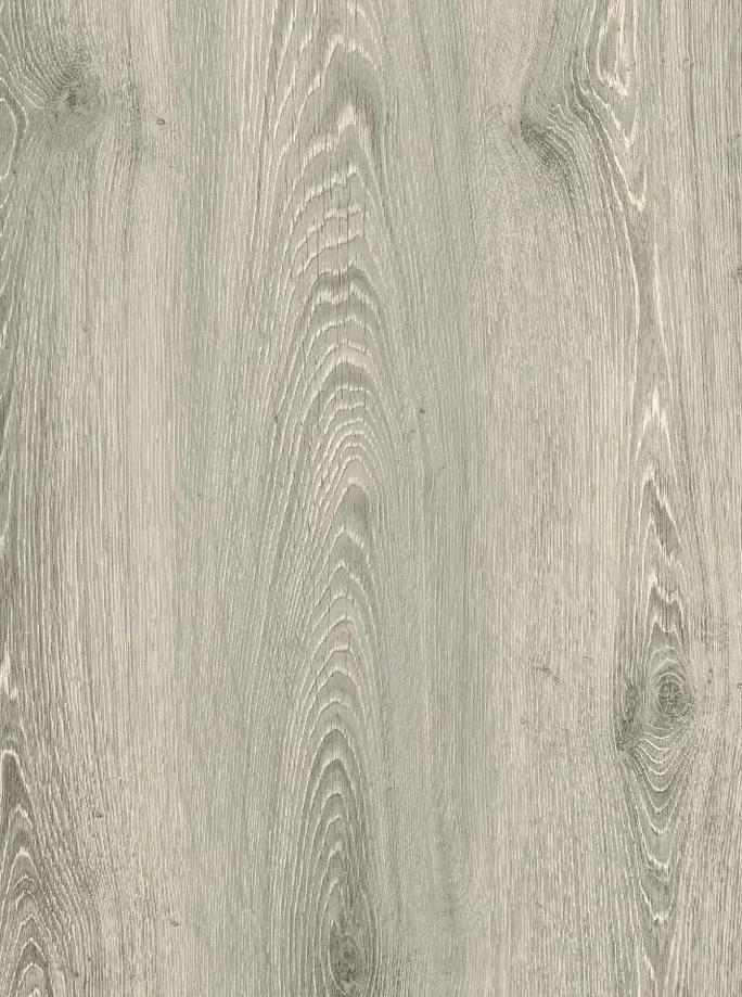 Caspian Oak 893