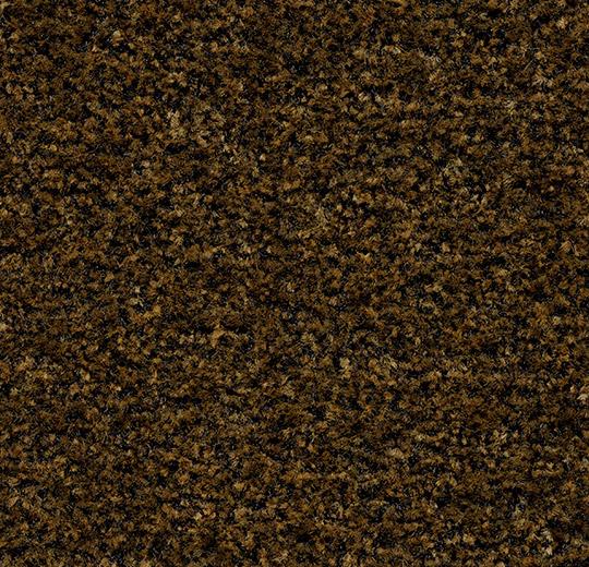 Coral Brush 5736