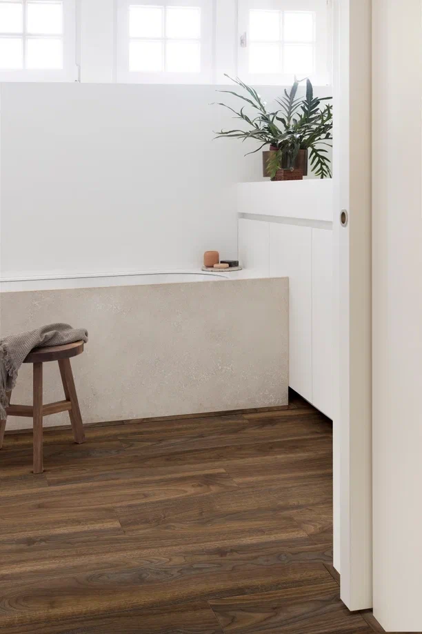English Walnut 20896