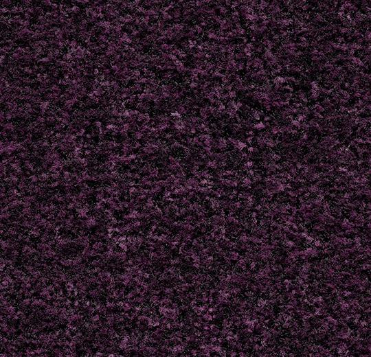 Coral Brush 5739
