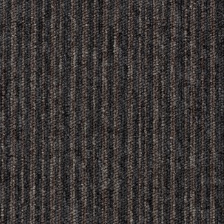 ESSENCE STRIPE 2933