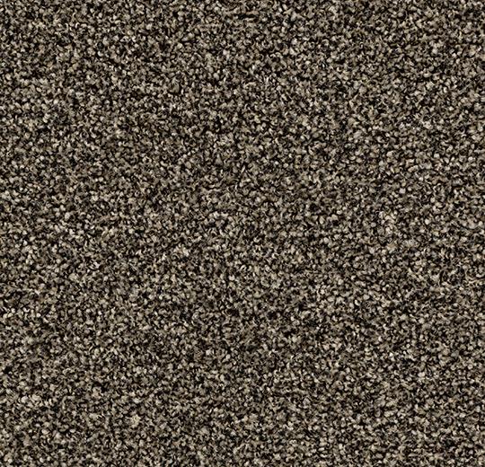 Coral Tiles 2604