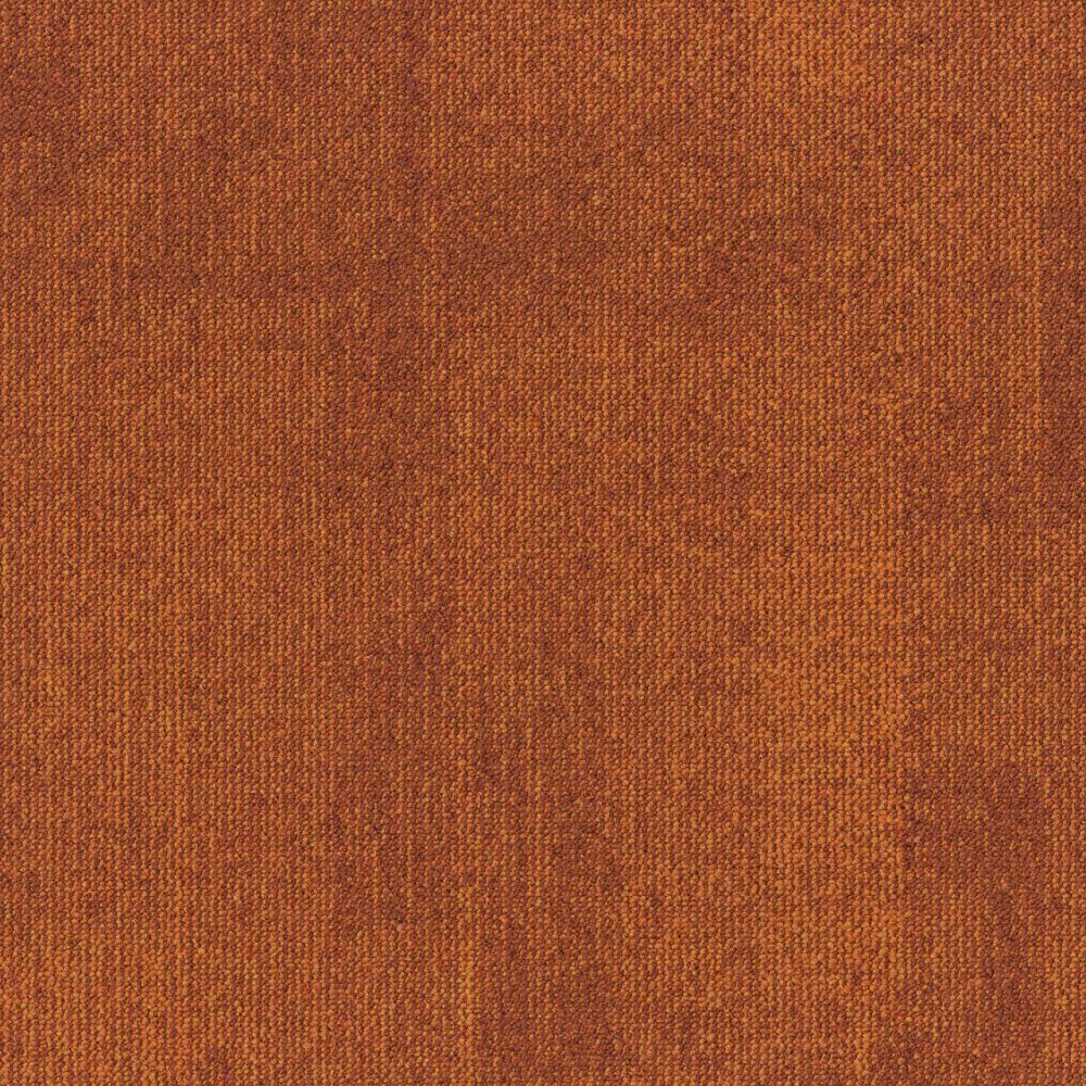 RudimentsTeak 273