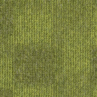 ESSENCE MAZE 7071