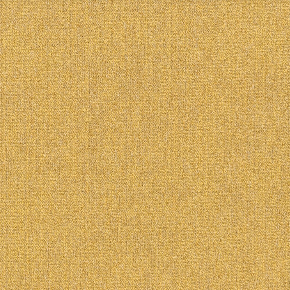 Rudiments Jute 159