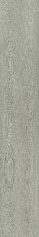 9205 SILVERED OAK