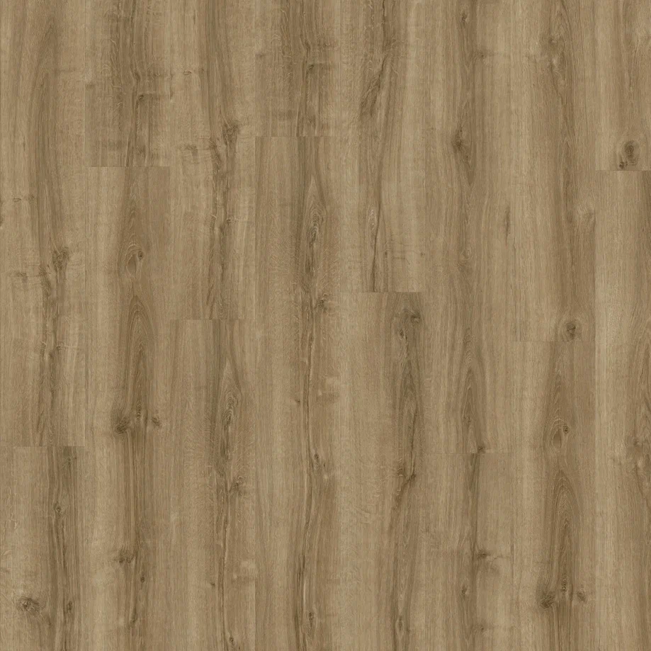 Silky Oak 235