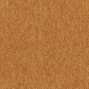 ESSENCE 530_AB05_5420