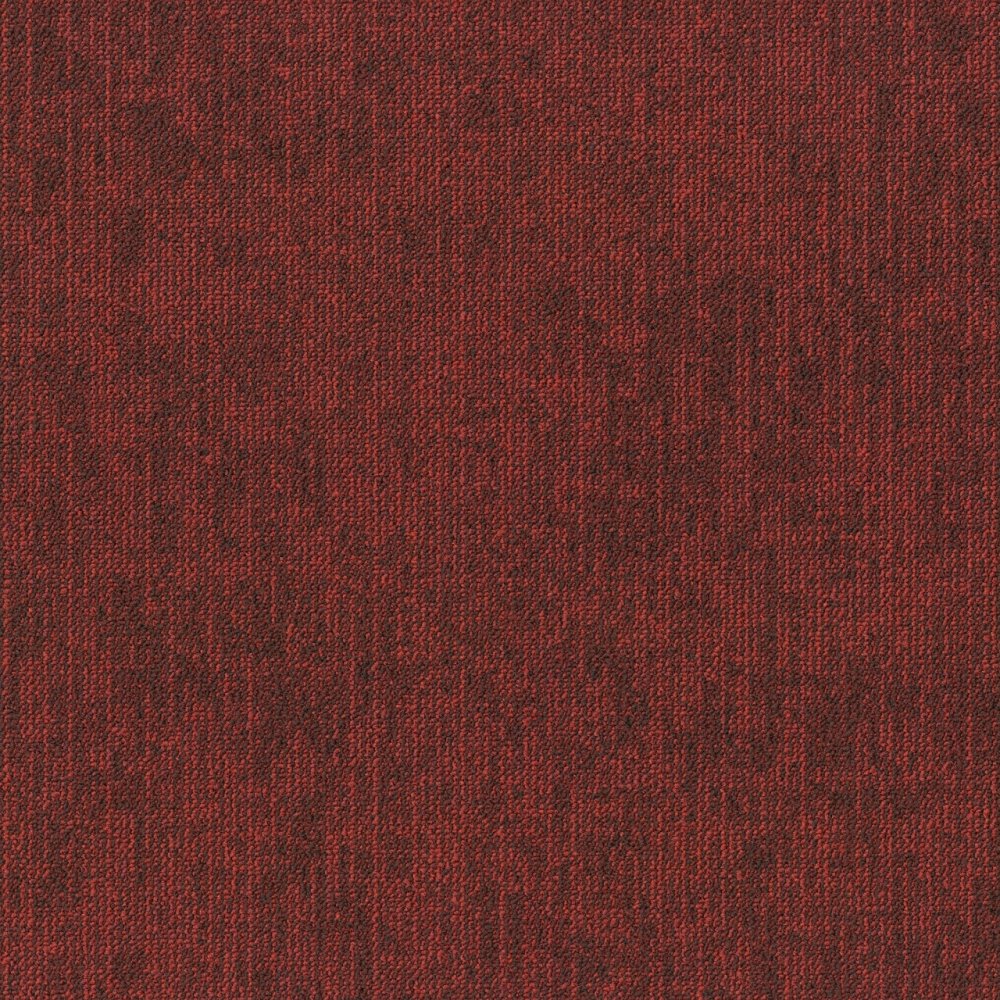 Rudiments Jute 363