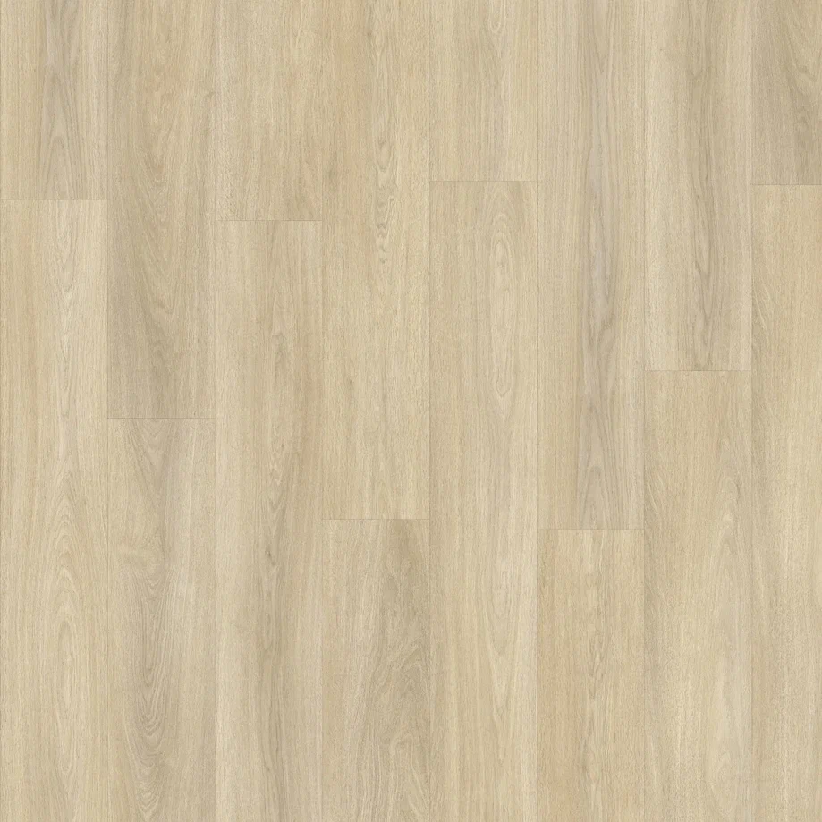 Noble Oak 246