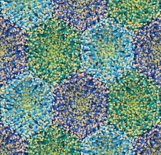 Modul'up wood by mac stopa 360001E