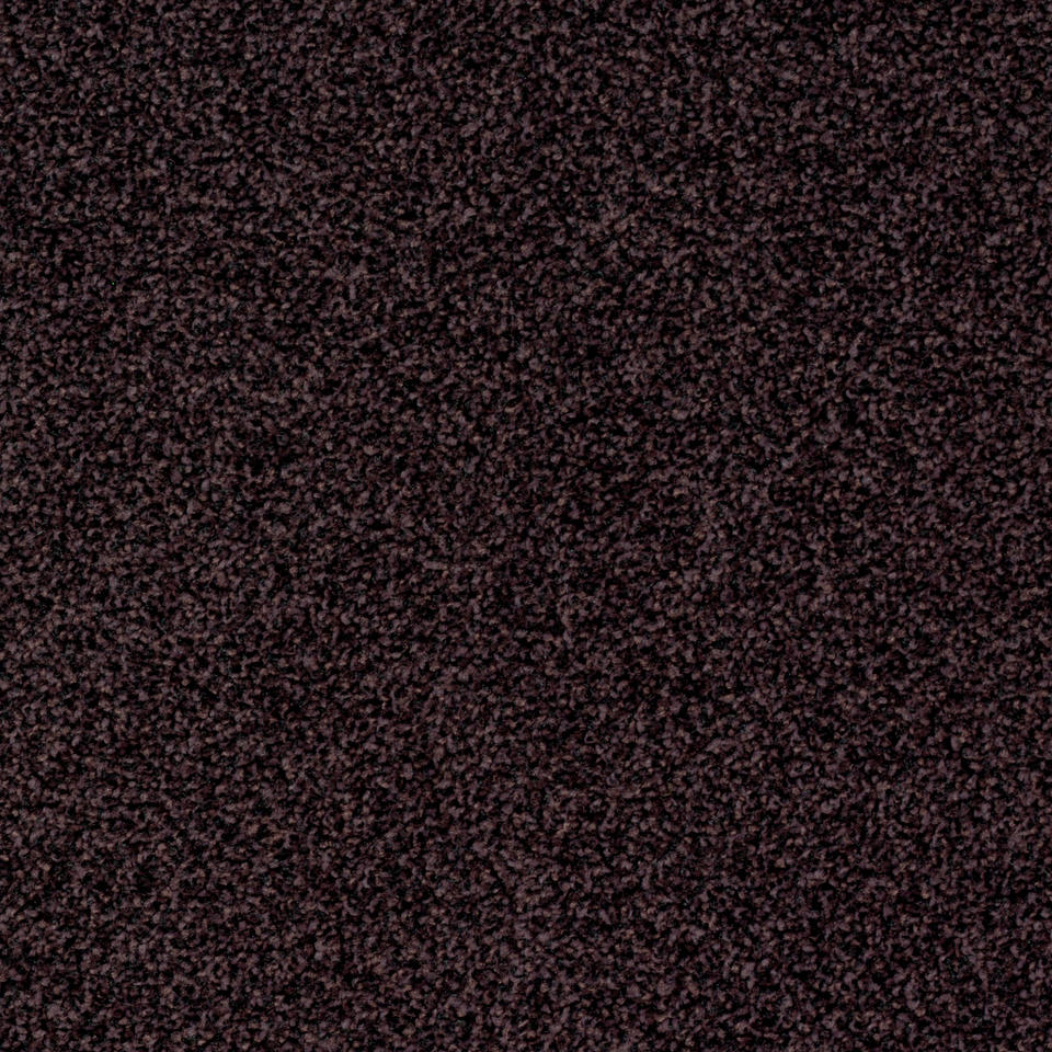 TORSO 2952