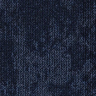 DESERT 8811