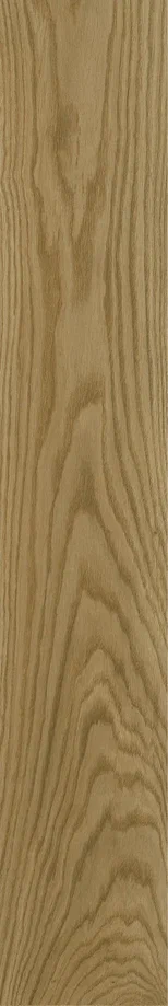 9208 GOLDEN OAK
