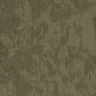 DESERT NEW 7852